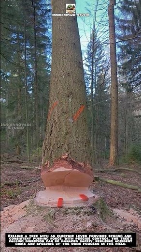 Tree Felling Using an Electric Lever 🌲⚡.