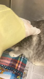 1.3K views · 45 reactions | URGENT - mom has diarrhea and babies...