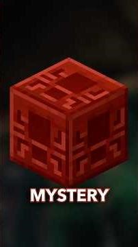 NEW BEETLE MOB COMING TO MINECRAFT!