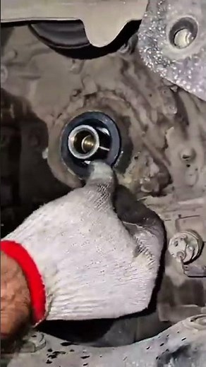 🚨 Never Replace an Oil Seal Without Doing THIS First! 😱