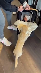 Two babies 😍 (IG: @spoodleo_) | LightInTheBox