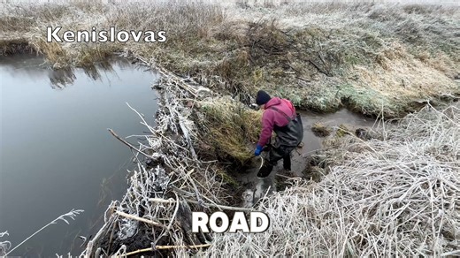 Kenisl0vas on Instagram: "Extreme Conditions: Beaver Dam Removal at –3°C #beaverdam #damremoval #beaver #naturework #winterwork #coldweather #extremejobs #outdoorslife #lithuania #wildlife"