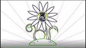 PBS KIDS FLOWER EFFECTS!!!