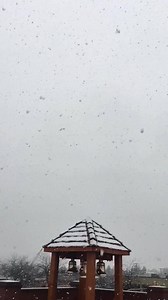 27K views · 597 reactions | These are some BIG snowflakes ❄️! | Castanet | Facebook