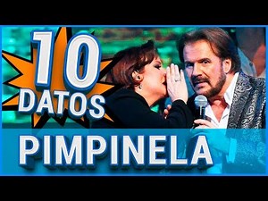 10 Curiosidades sobre PIMPINELA 😱