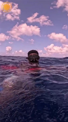 It’s #NeverTooLate for Nate to face his fears — which means tomorrow, he’s swimming with sharks on CBS Mornings 🦈 Submit your own Never Too Late: https://cbsn.ws/3YnII43 | CBS Mornings