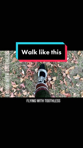 Autumn Walks and Adventures with Toothless