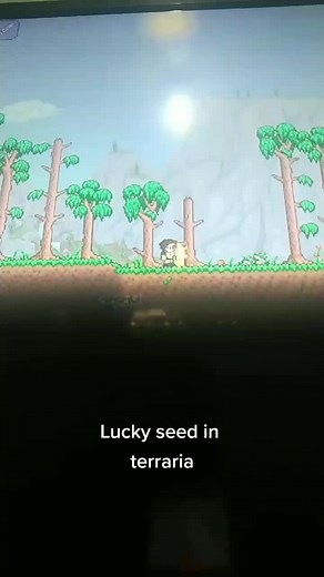 #fyp recomended seed for #terraria newbies, here is it (world size and evil included): 12345789, large and random (dont worry, it will allways be corruption)