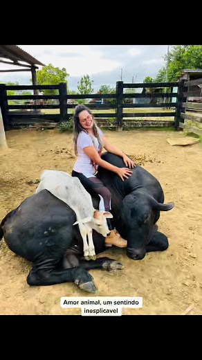 Bonding Moments with a Large Black Bull