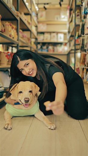 The Style Molecule | Kolkata Blogger ✨ | Big news for Kolkata pet parents 🎉 @vetic.in has officially opened here and Mojo is already loving it! From expert vets and advanced... | Instagram