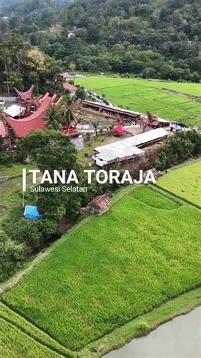 Let's Go to Toraja! Land Above the Clouds #shorts #travel