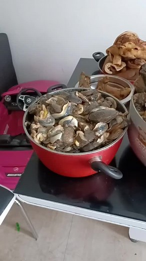 Delicious Food Storage Ideas with Clams and Baked Goods