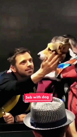 Sebastian Stan and Dogs: A Heartwarming Connection