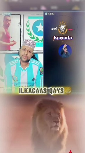 حسابات مقترحة