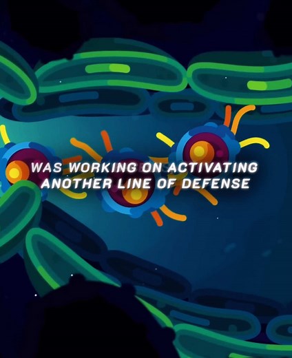 Exploring T-Cells and the Immune System