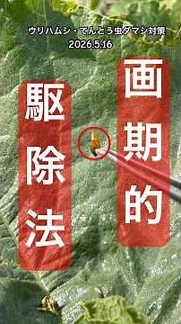 [Innovative pest control (extermination method)] #pest control