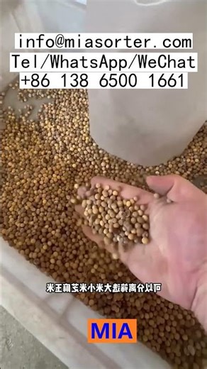 Deep Learning Technology Color Sorting Machine Advanced Production Line Supplier Japan Egypt India