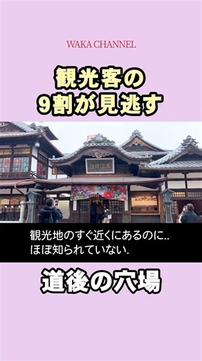 道後でここ知らない人、正直損してる。【愛媛・参魚珈琲】#道後温泉 #愛媛旅行 #道後カフェ
