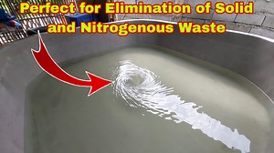 100K views · 1.6K reactions | Advantage of Circular and Funnel Type in Concrete Pond | Pinoy Palaboy | Facebook