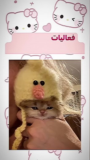 Hello Kitty-Themed Accessories Showcase