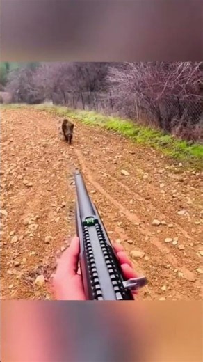 Single Gunshot Sound Effect #Shorts