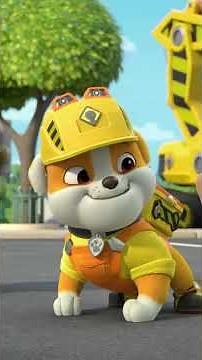 Rubble & Crew build a Solar Farm! ☀️ #shorts