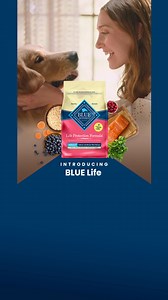 This BLUE Life Protection Formula Recipe starts with real salmon and is made with healthy grains, fruits, and veggies. | Blue Buffalo