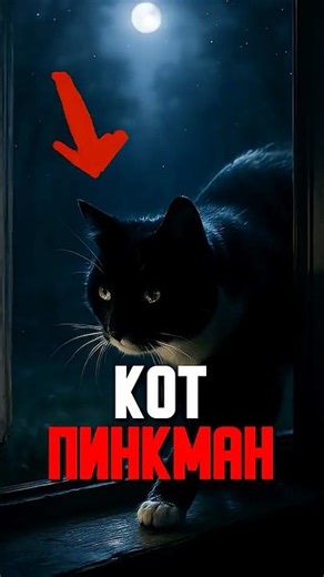 Хозяин узнал, куда ночью уходит его кот 😳