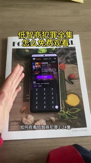 低智商犯罪1-24集我已经给你们找到了还有的朋友不知道在哪里观看快看过来！#王骁 #田曦薇 #低智商犯罪 #低智商犯罪 低智商犯罪电视剧哪个平台播 低智商犯罪全集完整版 低智商犯罪全集完整版高清 低智商犯罪免费观看全集高清 低智商犯罪电视剧全集