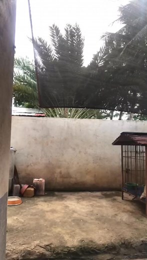 Unsa man ka ante uy,mura man ug dili magpapalit🤣🤣 #followerseveryonehighlights #fypシ゚viralシfypシ゚ #fbreelsfypnoシ゚viralvideo #fypシ゚viralシ2024fyp #followerseveryone #everyonehighlights #fypviralシ #followersreels @highlight | Alexa's Vlog