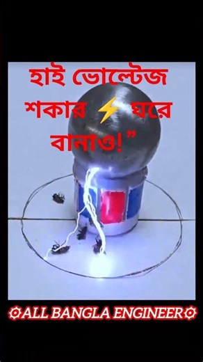 ঘরে তৈরি হাই ভোল্টেজ শকার!⚡পতঙ্গ নিধন মেশিন | DIY Bug Zapper