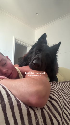 Understanding the Personality of a Black German Shepherd