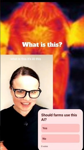 What is this? It's AI for Cows #aiinagriculture
