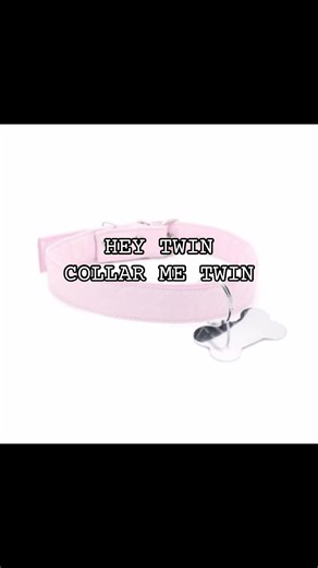 #cutecore🎀🦴🍮🐾 #puppygirl #relatable #kemonomimi #puppytiktok | puppies