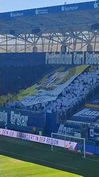 Choreo der Südkurve Jena vs BFC Dynamo | FC Carl Zeiss Jena #fccarlzeissjena #zeissdynamite
