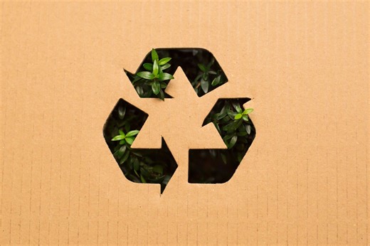 What is a Biodegradable Material?