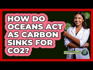 How Do Oceans Act As Carbon Sinks For CO2?