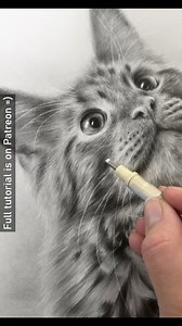 84K views · 3.9K reactions | Here are a few clips of my latest graphite drawing ☺. What shall I draw next in graphite? 樂 - - - 8" x 10" Reference photo: Amber Kipp on Unsplash | Zara's Pet Portraits & Wildlife Art | Facebook