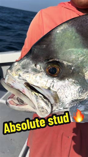 Catch XXL Roosterfish in Puerto Vallarta