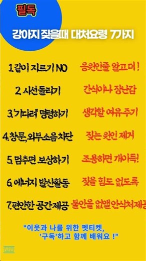 [반려견 #04] 강아지 짖을때 대처요령 7가지