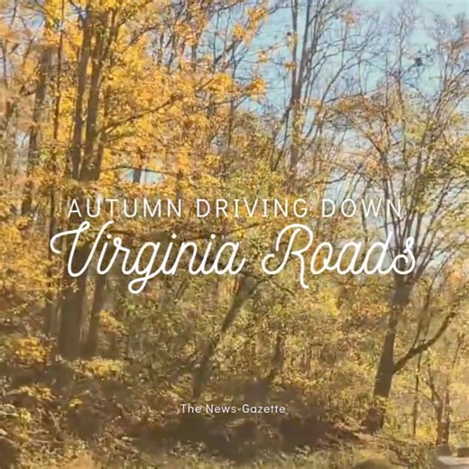 What is your favorite road to drive on to see the fall foliage? | The News-Gazette, Lexington, Va