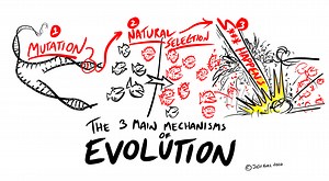 The Science of Kindness: It’s Not Easy Being Nice