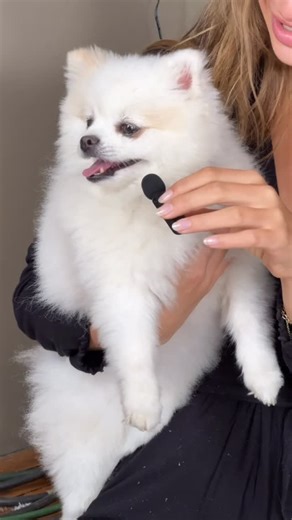 Aerie | morgan interviewing the other models>>> #BehindTheBrand | Instagram