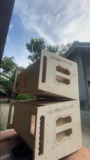 Line Array 12 inch Single Tweeter Custom by Henk Pro