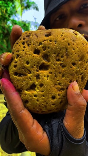 This yellow jasper stone looks like a gold nugget #gemstones #agate #diamond #jade #petrifiedwood #fyp #fypreels | Gemstone Explorers