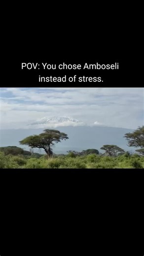 Experience Amboseli: Nature Escape from Daily Stress