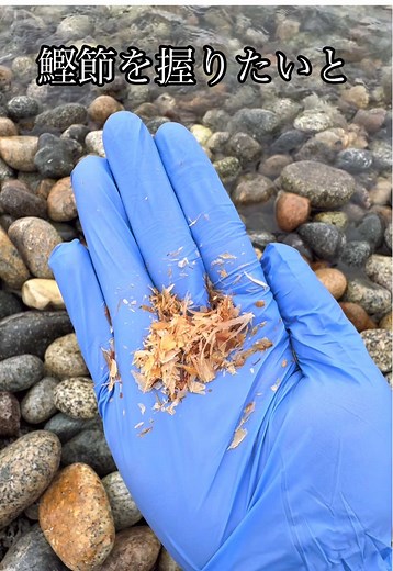 水中の鰹節とミミズハゼの釣り体験