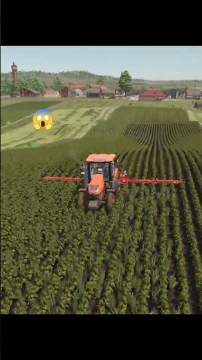 Destroying Weeds in the Sunflower Field with a Hoe! 🌻💪 | Farming Simulator 25
