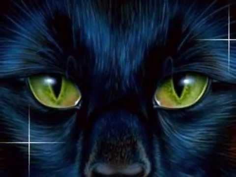 Top 10 Saddest Warrior Cats Deaths
