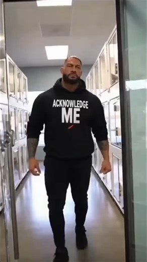 #romanreigns is a #catlover #cats #humor | Kevin Dagger | Facebook